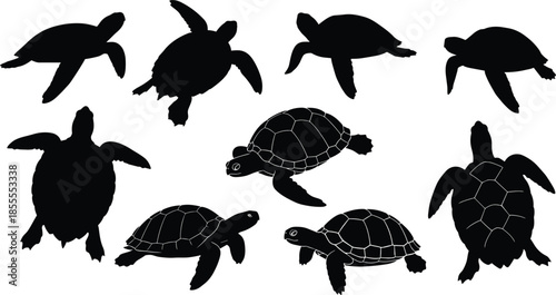 Assortment of Black Sea Turtle Silhouettes in Various Poses on White Background vector illustration