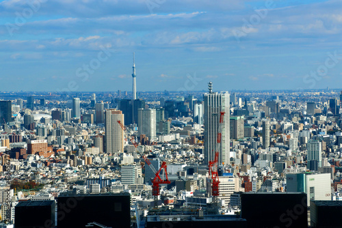 東京都庁からの眺望・都市風景（東京都・新宿区）
