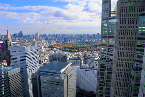 東京都庁からの眺望・都市風景（東京都・新宿区）