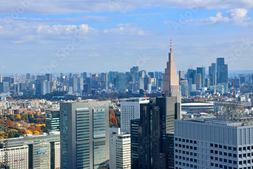 東京都庁からの眺望・都市風景（東京都・新宿区）