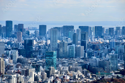 東京都庁からの眺望・都市風景（東京都・新宿区）