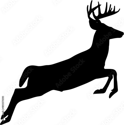 Silhoutte of a the deer jumps