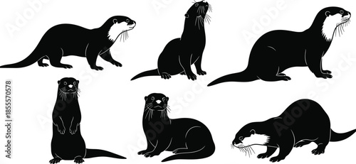Sea otter silhouette set featuring various playful poses including standing, sitting, and walking isolated on white background for wildlife nature design