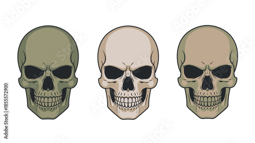 Three human skulls with different skin tones and expressions