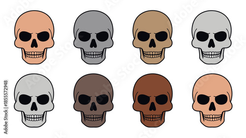 Collection of eight diverse human skulls in different colors and tones