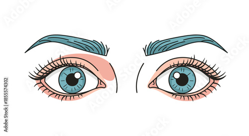 Detailed close-up illustration of female blue eyes with long eyelashes and groomed eyebrows on plain white background set.