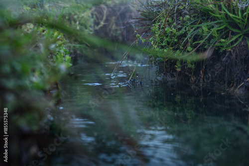 On-sen of Thailand,Fang Hot Spring at National Park in Chiang Mai,Thailand.