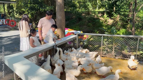 Family feeding a flock of white ducks at an outdoor petting zoo