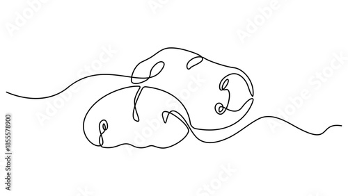 potato continuous one line drawing, Potatoes vector illustration. One line drawing art illustration with lettering organic potatoes. Minimalist vector illustration design style. Editable stroke