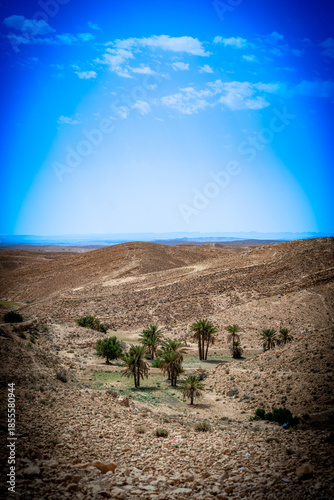 Tunez pais arabe con paisajes y arquitectura africana con desiertos