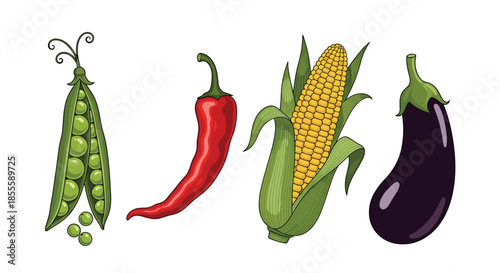 Row of four fresh vegetables including a pea pod, red chili pepper, corn cob, and eggplant in a detailed vintage illustration style.