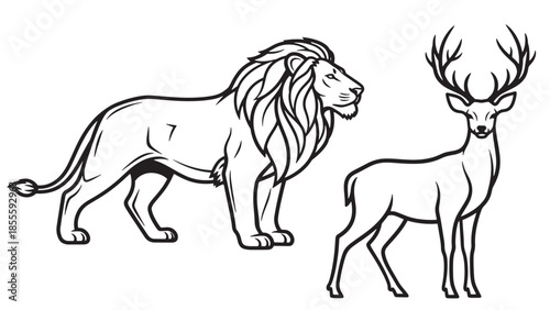 Vector line art of a lion and a deer standing together for wildlife diversity and nature concepts