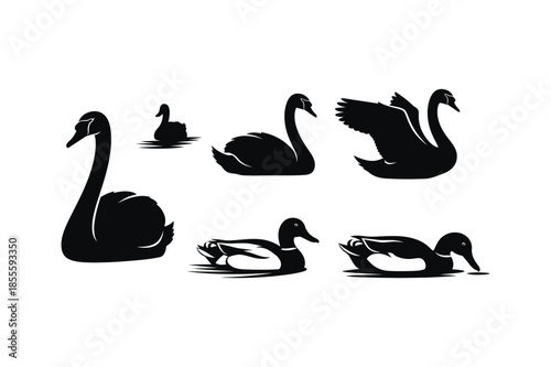 Swan and Duck Silhouette Vector Set Elegant Waterfowl Bird Illustrations