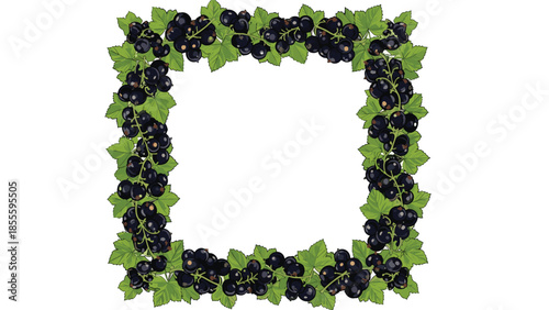A beautiful square frame made of ripe blackcurrant berries and lush green leaves with a blank space in the center for text.