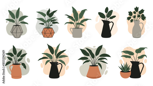 A collection of trendy houseplants in stylish pots and pitchers, set against abstract backgrounds for modern home decor concepts.