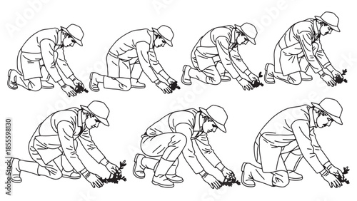 Illustration depicting a sequence of actions showing a gardener carefully planting small seedlings or young plants into the soil using their gloved hands.