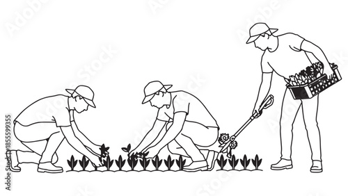 A group of rural farmer men and agriculture worker team are planting a vegetable crop harvest in a farm field garden during the spring season in this nature countryside sketch drawing.