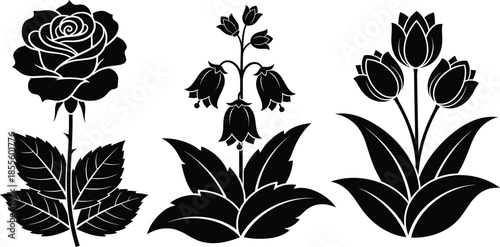 Black floral silhouette vector illustration featuring rose, bellflower, and tulip designs with detailed leaves perfect for botanical decorative artwork
