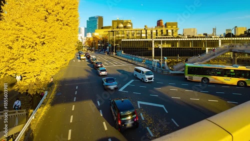 A timelapse of traffic jam at the yellow gingko street in autumn wide shot panning