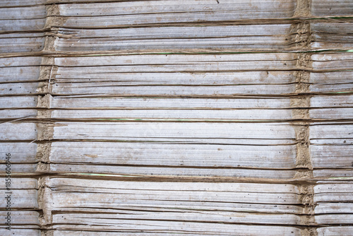Bamboo texture or background. Bamboo