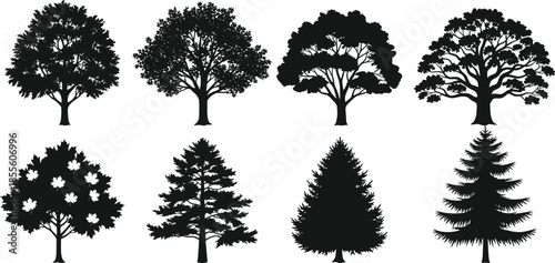 Tree silhouette, forest shape, botanical outline, deciduous tree, evergreen tree, nature vector, foliage form, landscape icon, conifer silhouette, maple tree, pine tree, tree variety, 