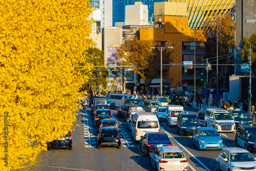 A photography of traffic jam at the yellow gingko street in autumn telephoto shot
