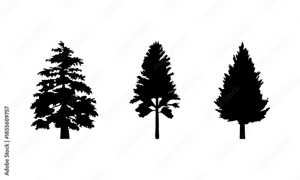 Fototapeta premium pine tree silhouette.eps