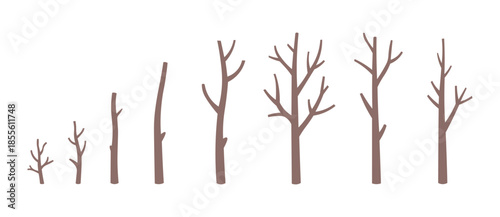 Leafless Tree Vector Set. Bare Winter Trees and Branch Silhouettes