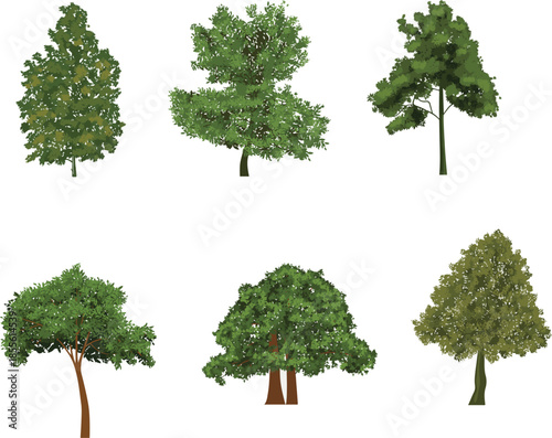 Trees Vector Transparent Pack – Forest Tree Silhouettes, Nature Elements Collection with Isolated Background Print
