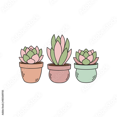 Three cute succulent plants in colorful ceramic pots, indoor home gardening decoration, pink and green echeveria botanical vector illustration