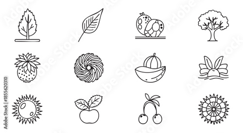 Variety of nature elements in outline style on a white background
