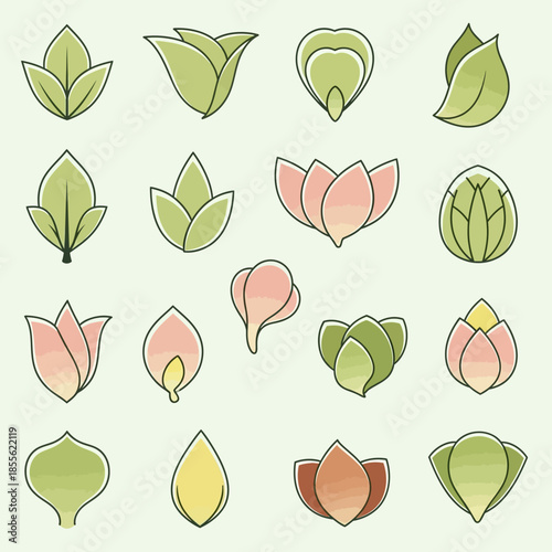 A vibrant close-up of a blooming pink peony flower with soft petals and golden stamens captured in natural sunlight against a blurred green garden background