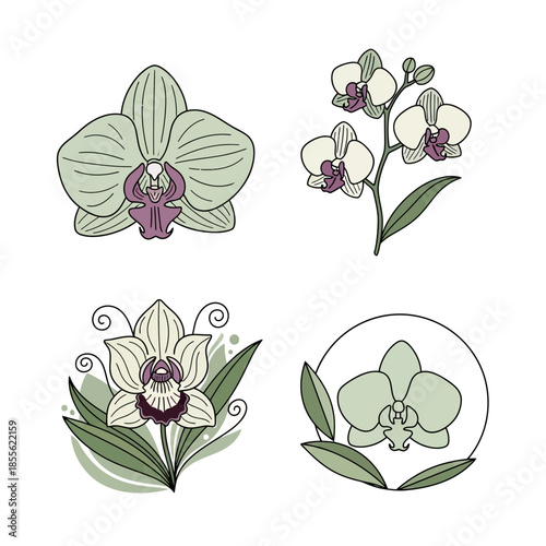 A vibrant close-up of a blooming pink peony flower with soft petals and golden stamens captured in natural sunlight against a blurred green garden background