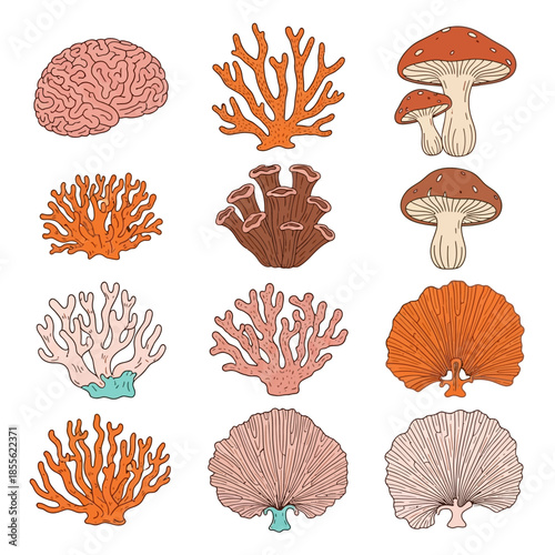 Coral and mushroom marine life.