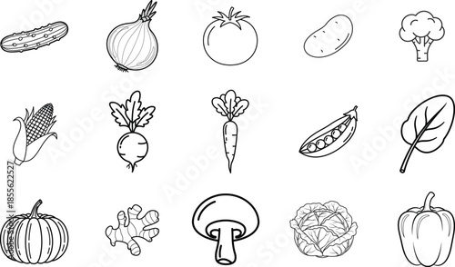 Collection of black and white line art illustrations of various vegetables food outline