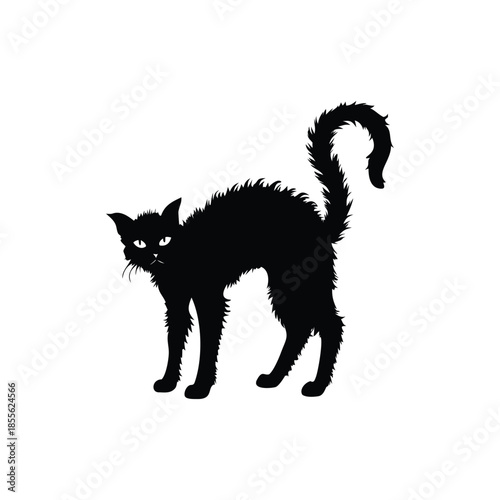 Black cat silhouette illustration, fur standing, Halloween creepy gothic vintage horror style vector