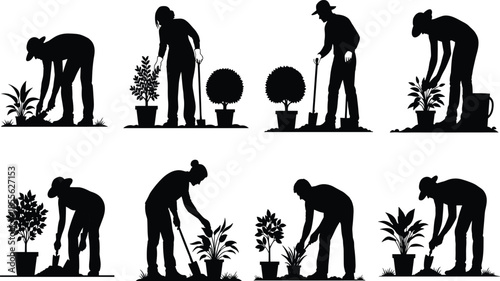 Vector set of black silhouettes featuring people gardening planting trees and digging soil isolated on white background for nature design