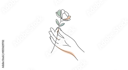Elegant minimalist line art drawing depicting a graceful hand delicately holding a blossoming flower, symbolizing care, beauty, and nature's gentle touch in a modern botanical illustration style