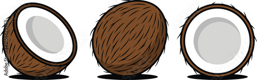 Three Cartoon Coconuts One Whole and Two Halves on White Background Keywords: coconut, tropical, fruit, whole, half, cut, brown