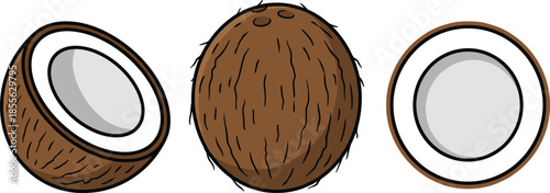 Three Cartoon Coconuts One Whole and Two Halves on White Background Keywords: coconut, tropical, fruit, whole, half, cut, brown