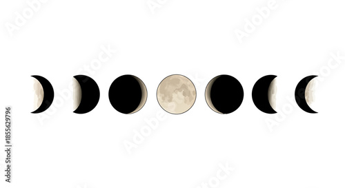 Celestial Progression A Visual Depiction of the Moon's Phases from New Moon to Full Moon and Back Again