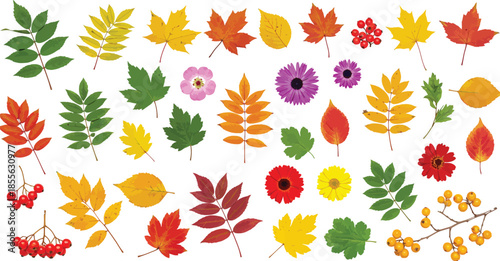 A group of colorful fairies flying in various poses and outfits