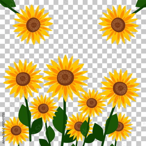 Illustration of numerous yellow sunflowers with green leaves against a transparent background, symbolizing summer and nature's beauty.