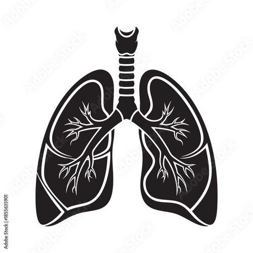 Detailed illustration of human lungs with bronchial tree isolated