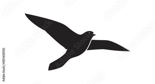 Silhouette of a bird in flight, a symbol of freedom and nature's beauty