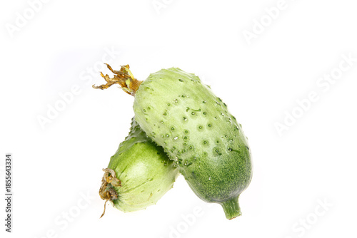 Fresh cucumber on the white background color