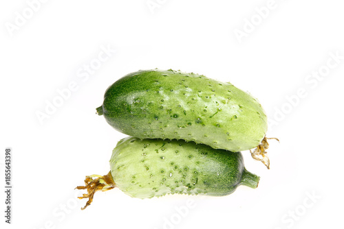 Fresh cucumber on the white background color
