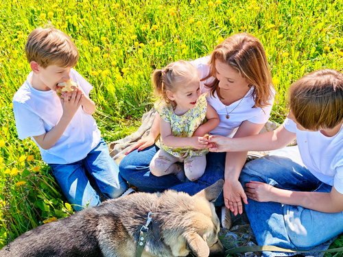 Family enjoys a sunny picnic on a grassy field with their dog, sharing snacks and laughter together