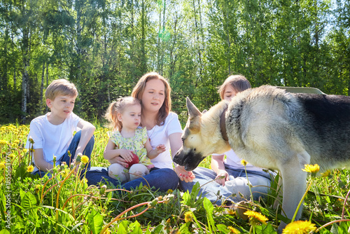 Family enjoying a sunny day outdoors with a dog and dandelions in a green park