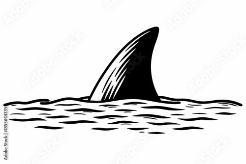 Shark fin slicing through ocean waves